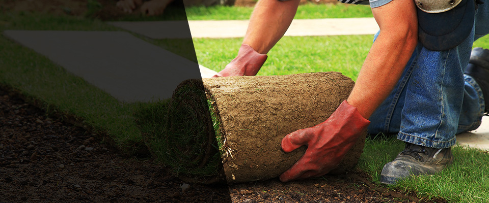 Lemont Landscapers